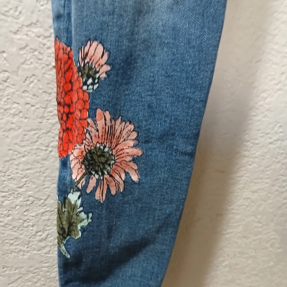 Zara Blue Skinny Jeans with Red Floral Embroidery - Picture 3 of 8